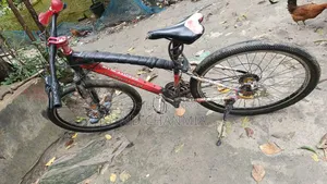 Duranta Gravity Plus X300