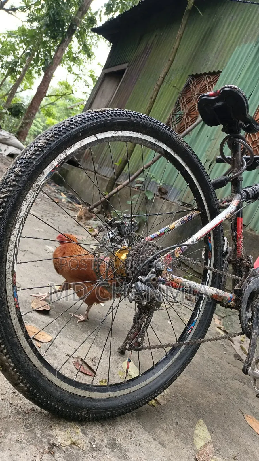 Duranta Gravity Plus X300