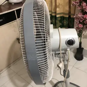Carôn Fan