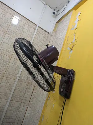 Pakistani Fan