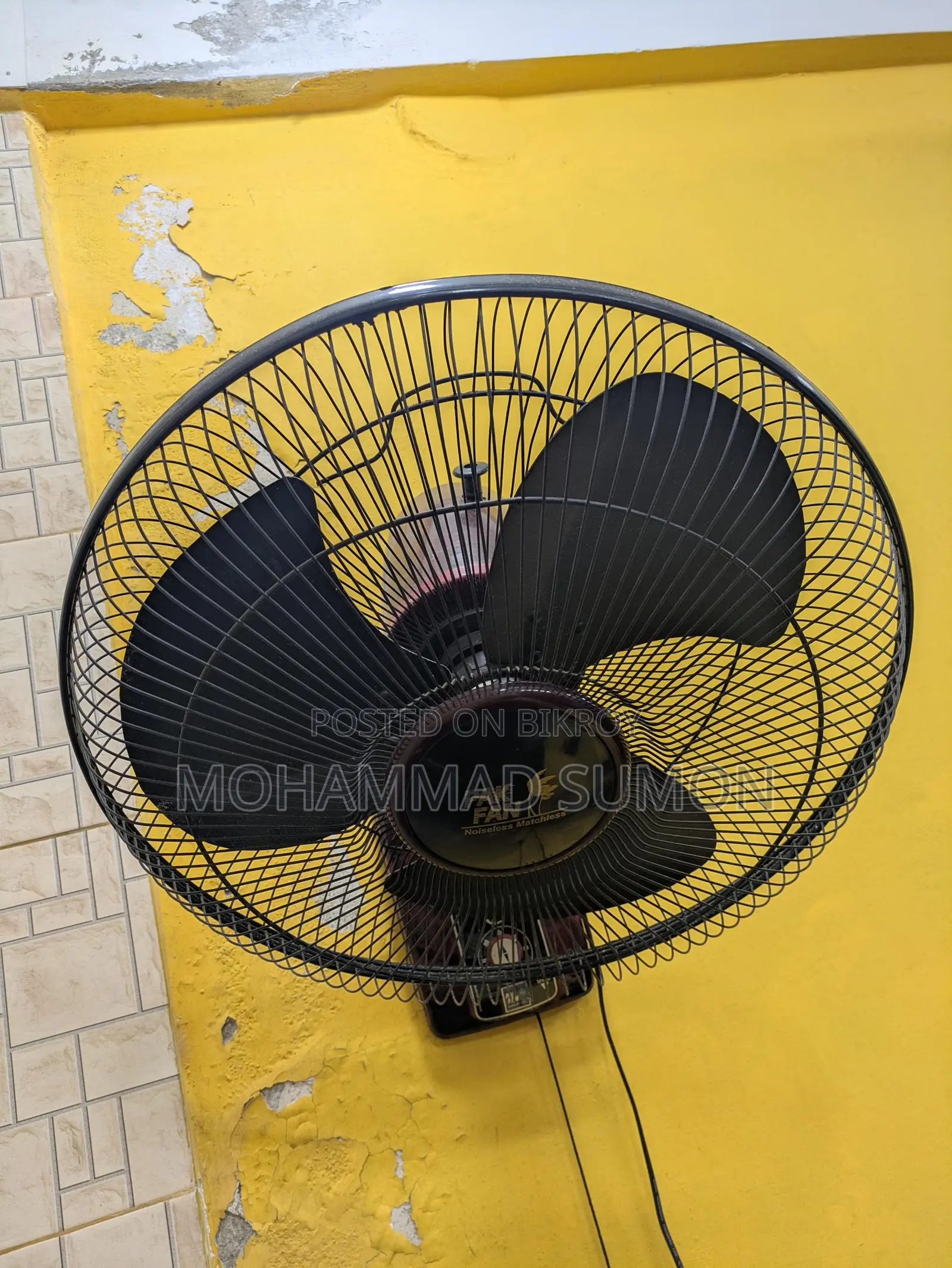 Pakistani Fan