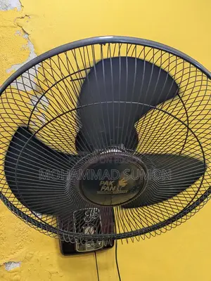 Pakistani Fan