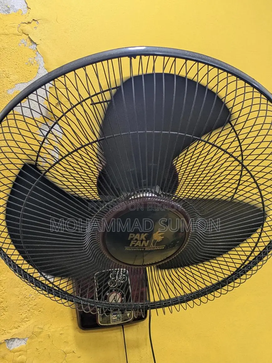 Pakistani Fan