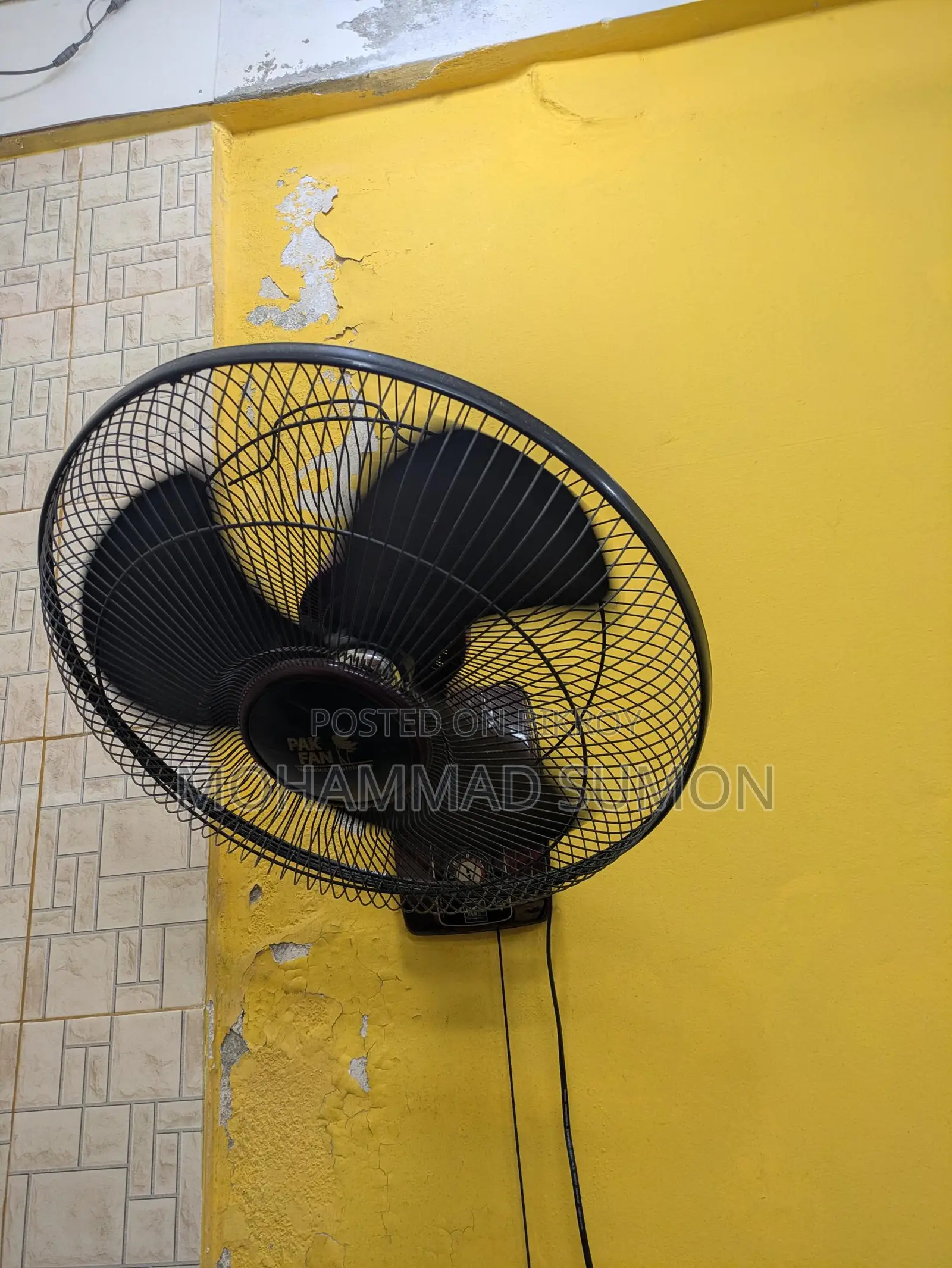 Pakistani Fan