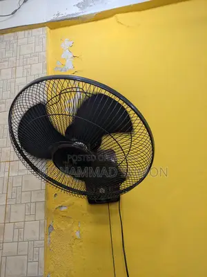 Pakistani Fan