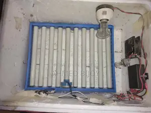 54 Egg Automatic AC/DC Incubator with Roller Machine for Sale