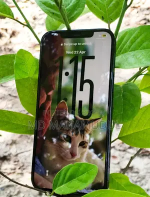 Apple iPhone 12 Pro Max (ব্যবহৃত)