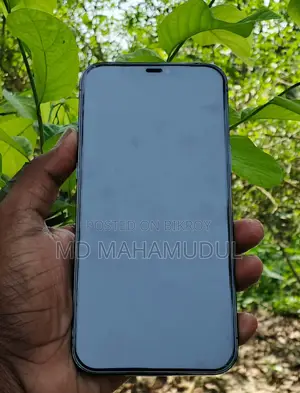 Apple iPhone 12 Pro Max (ব্যবহৃত)