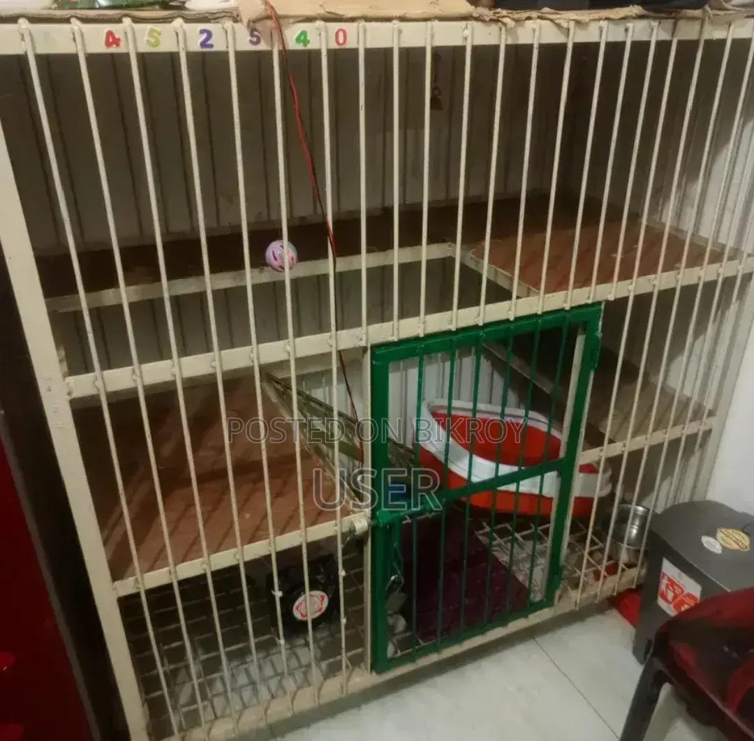Large Persian Cat Cage for Sale