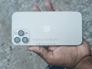 Apple iPhone 12 Pro Max (Used)