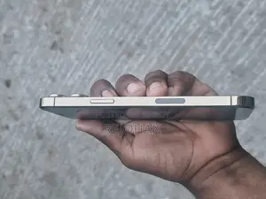 Apple iPhone 12 Pro Max (Used)