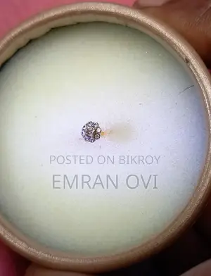 Diamond nose pin