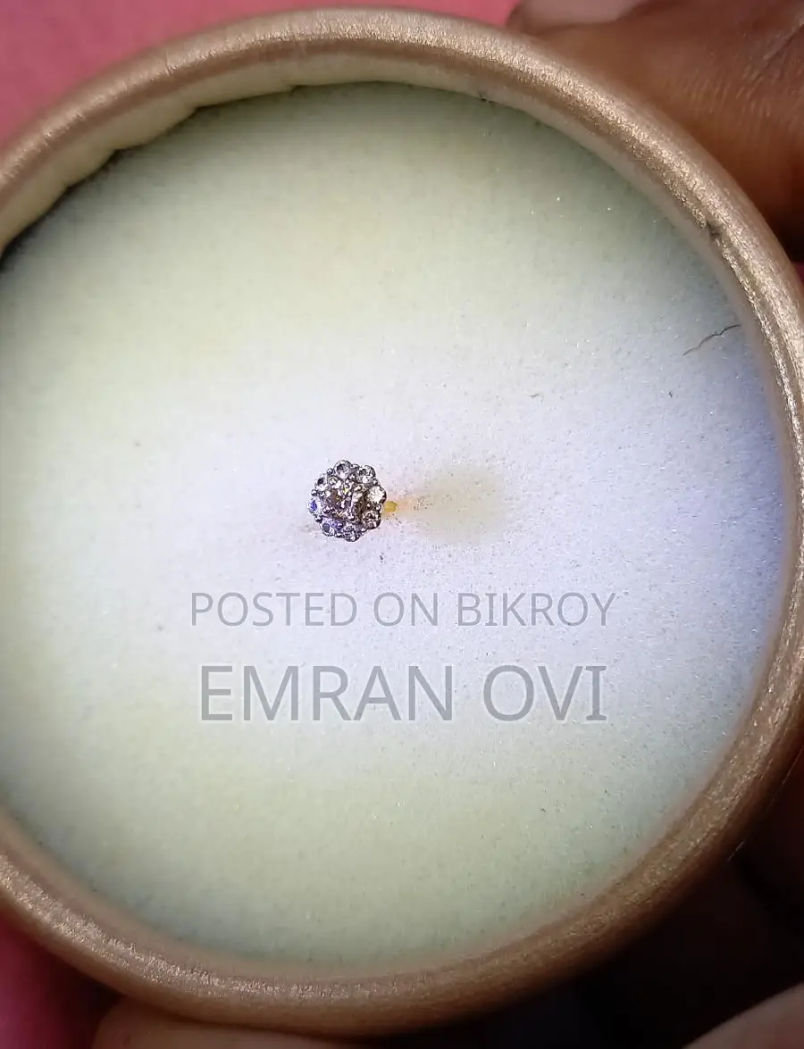 Diamond nose pin