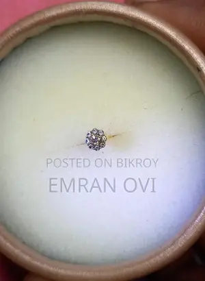 Diamond nose pin
