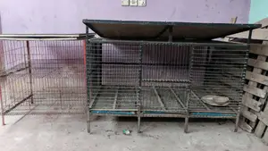 মুরগি ও কোয়েলের খাচা
