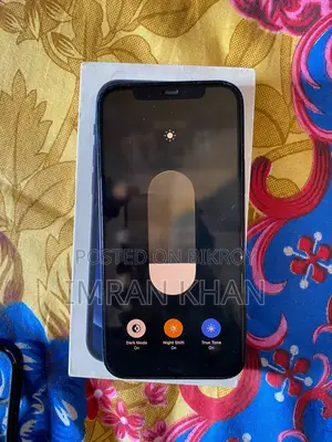 Apple iPhone 12 (Used)