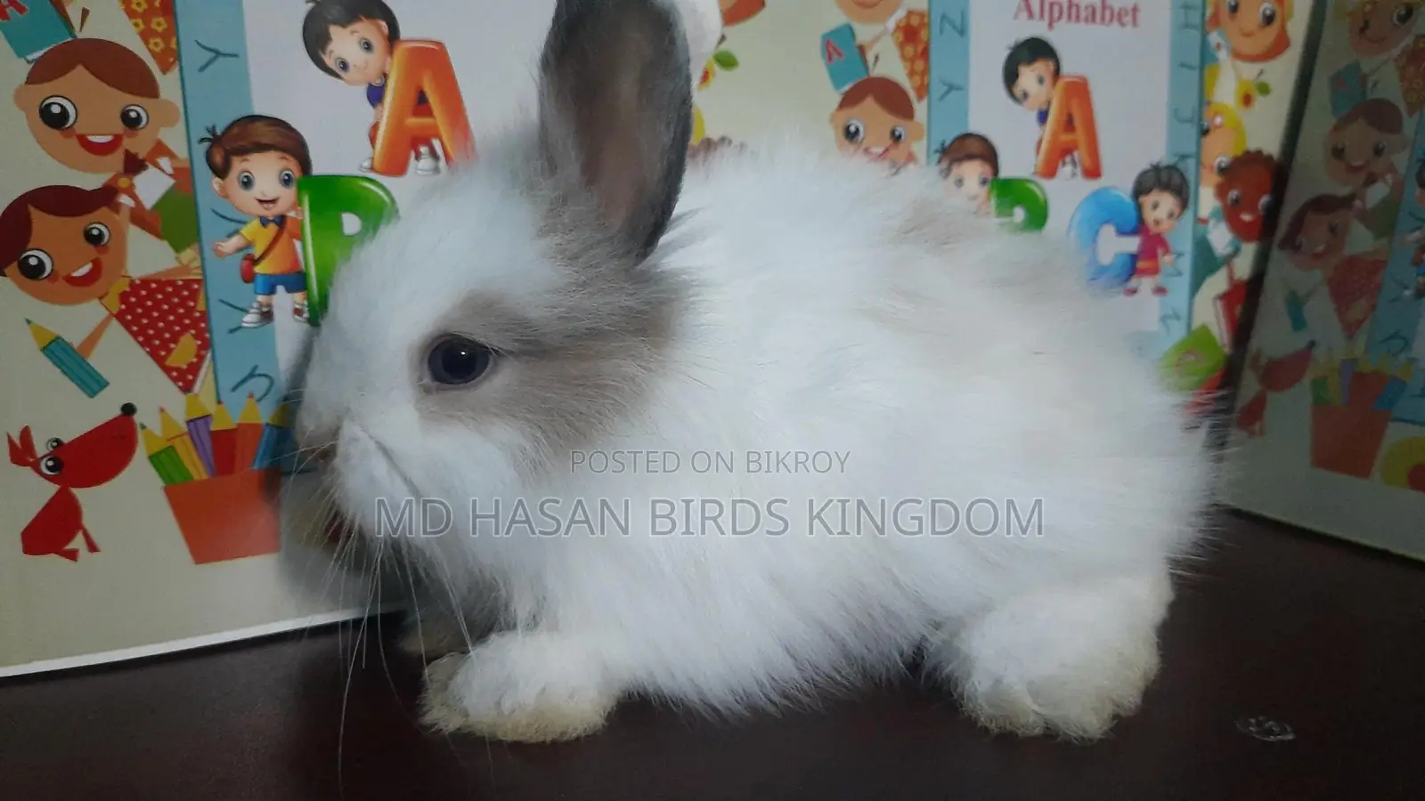 Rabbit Angel