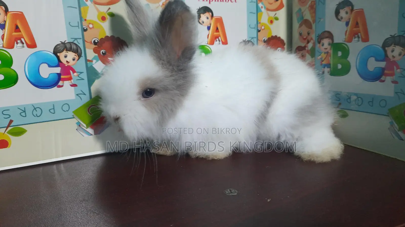 Rabbit Angel