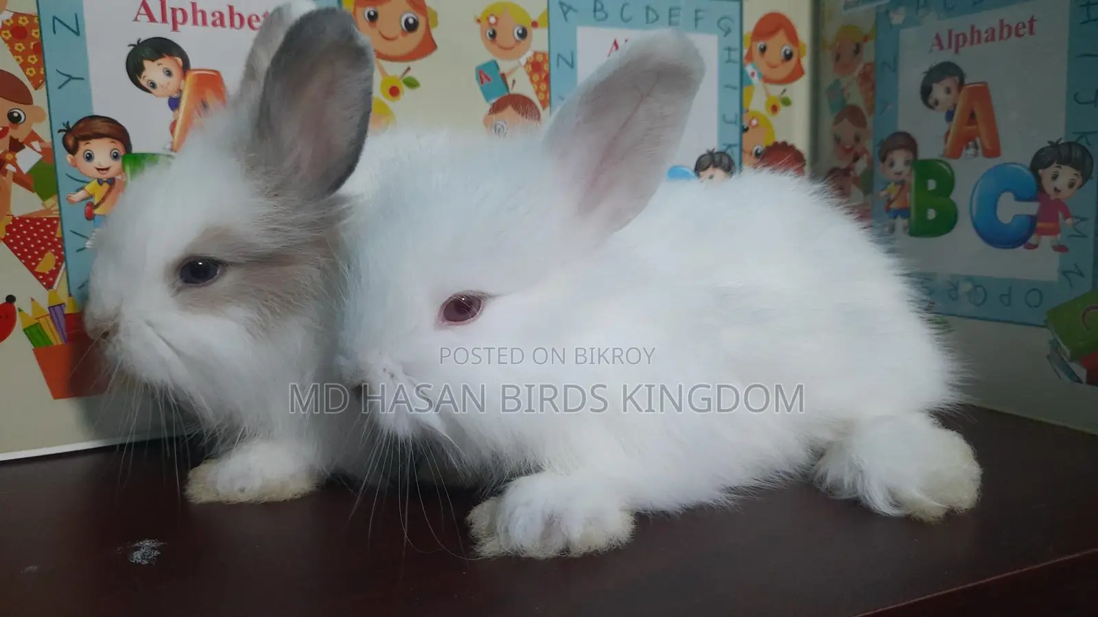Rabbit Angel