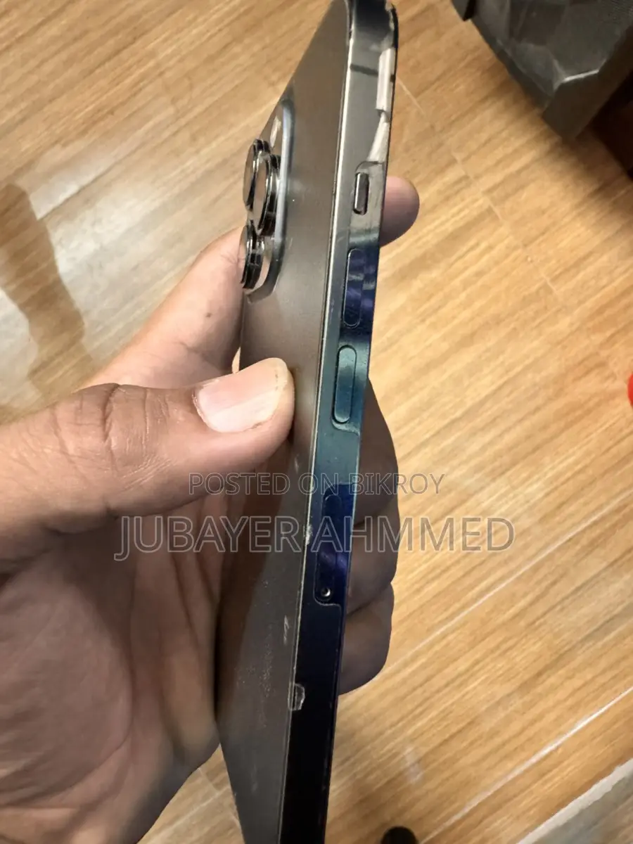 Apple iPhone 13 Pro (ব্যবহৃত)