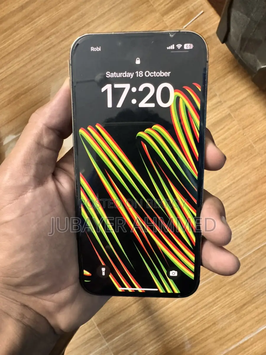 Apple iPhone 13 Pro (ব্যবহৃত)