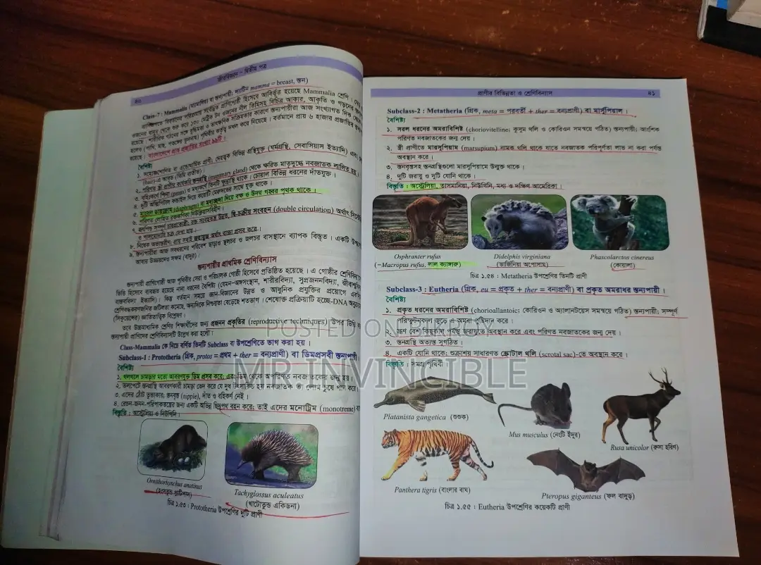 Retina Marked Book - Biology 2nd Paper