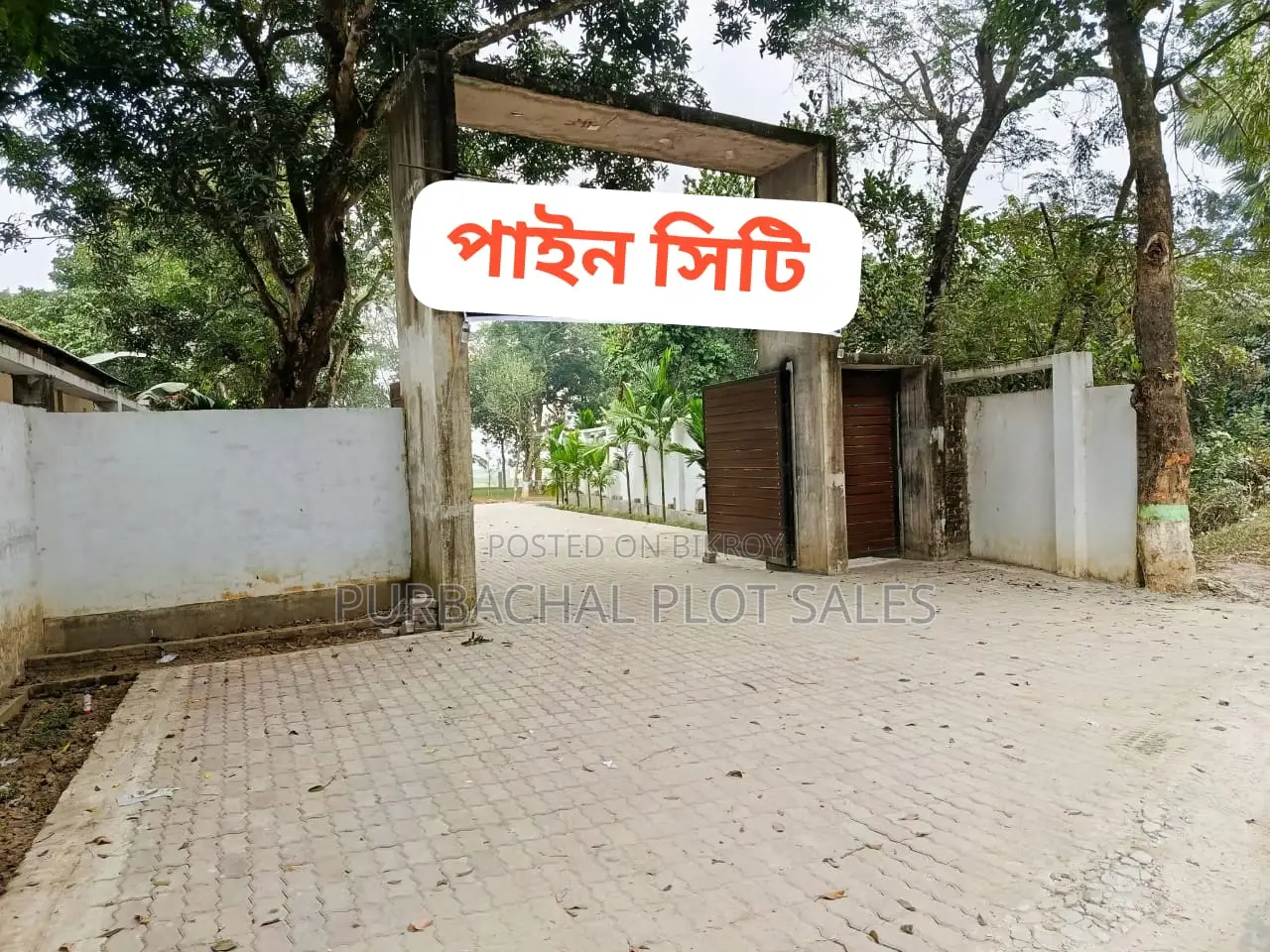 পরিবারের জন্য নিরাপদ ভবিষ্যৎ গড়ে তুলুন পাইন সিটিতে।