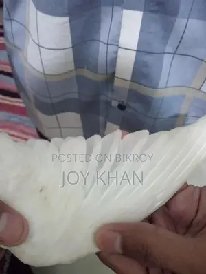 ককাটেল পাখি