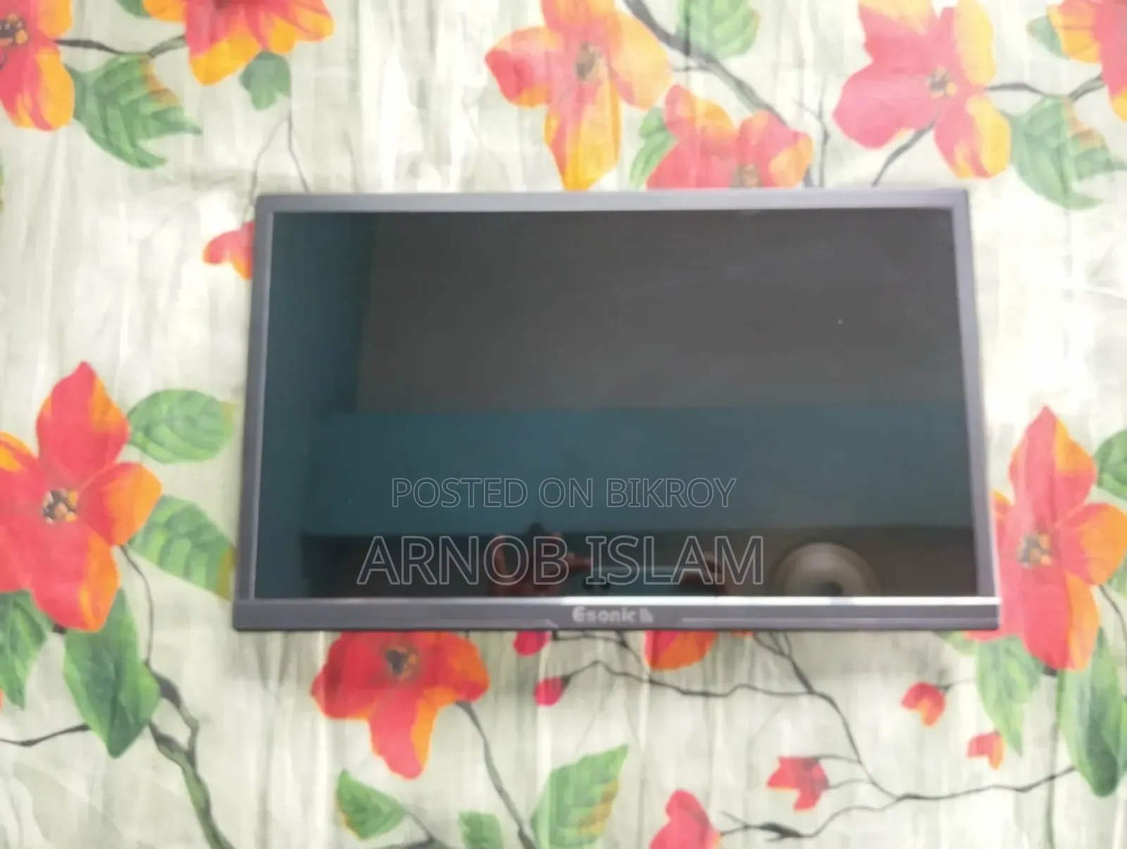 Esonic Em19s Monitor