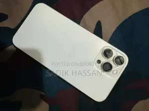 Apple iPhone 13 Pro Max (Used)