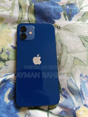 Apple iPhone 12 (Used)