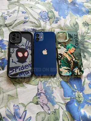 Apple iPhone 12 (Used)