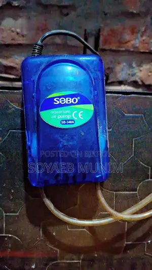 মাছের অক্সিজেন