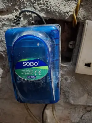 মাছের অক্সিজেন