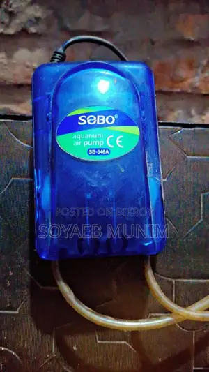 মাছের অক্সিজেন