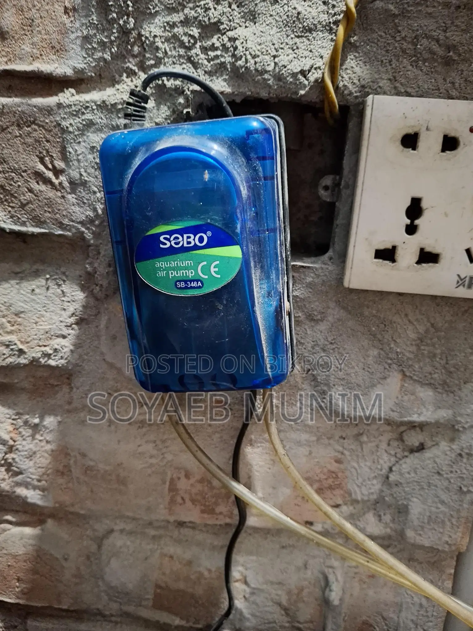 মাছের অক্সিজেন