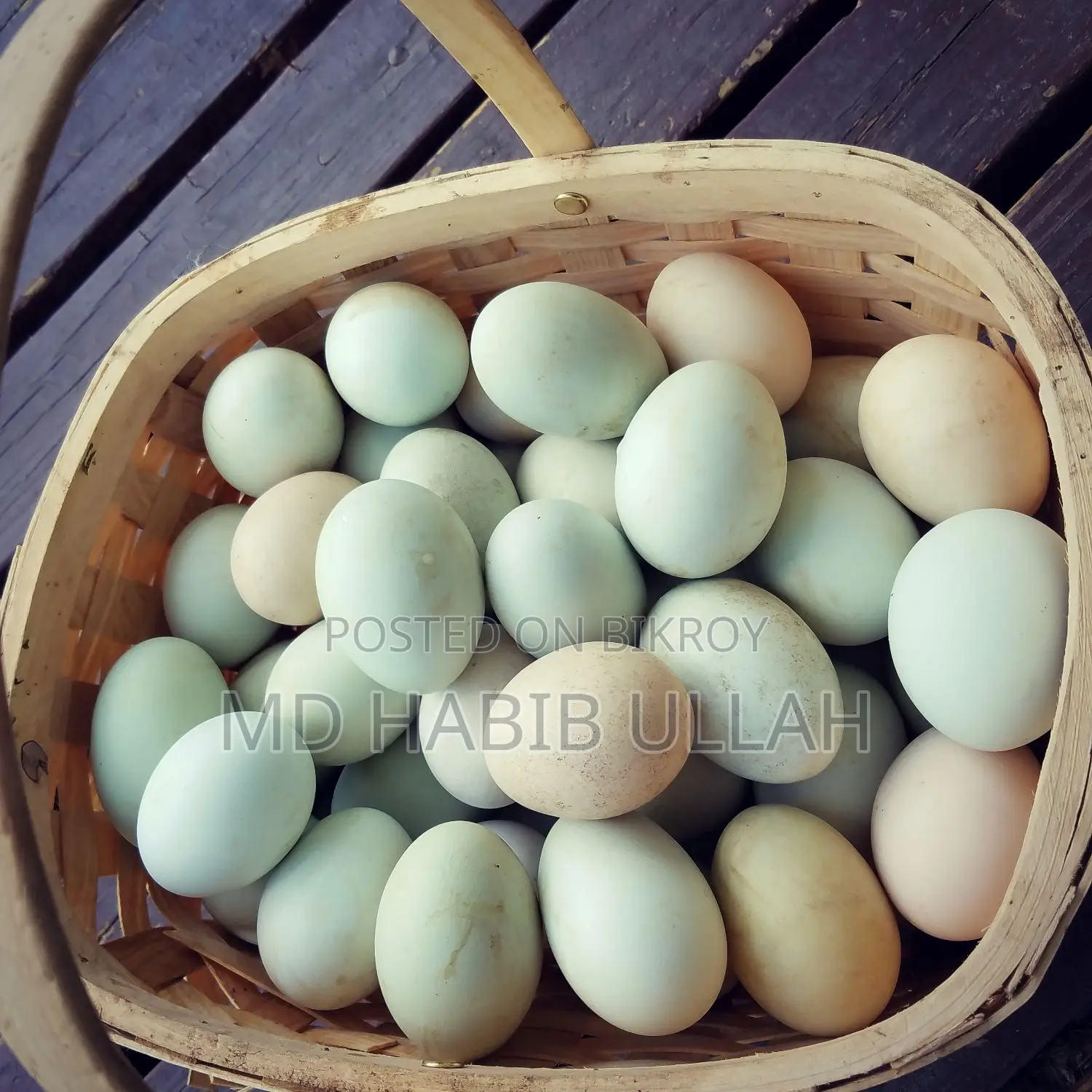 Duck Eggs for Sale.