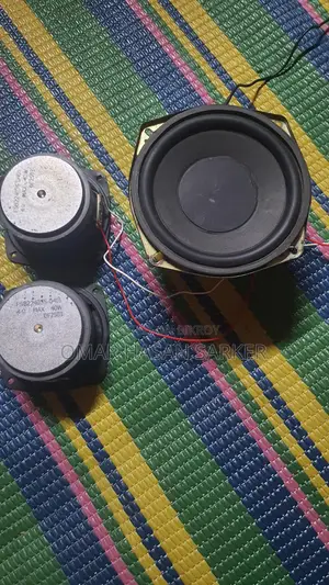 Sony 5.5" Sub, 3.5" Mid Range