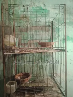 Cage Tray Missing