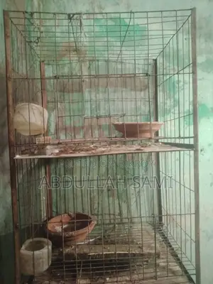 Cage Tray Missing