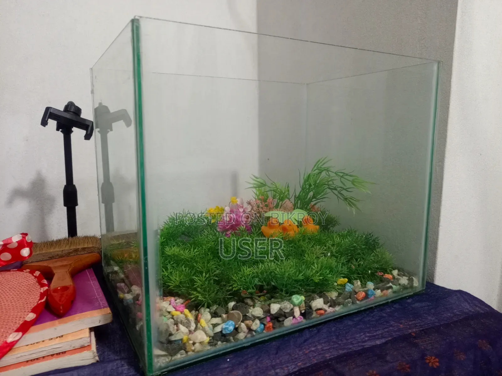 Two Large Aquariums for Sale