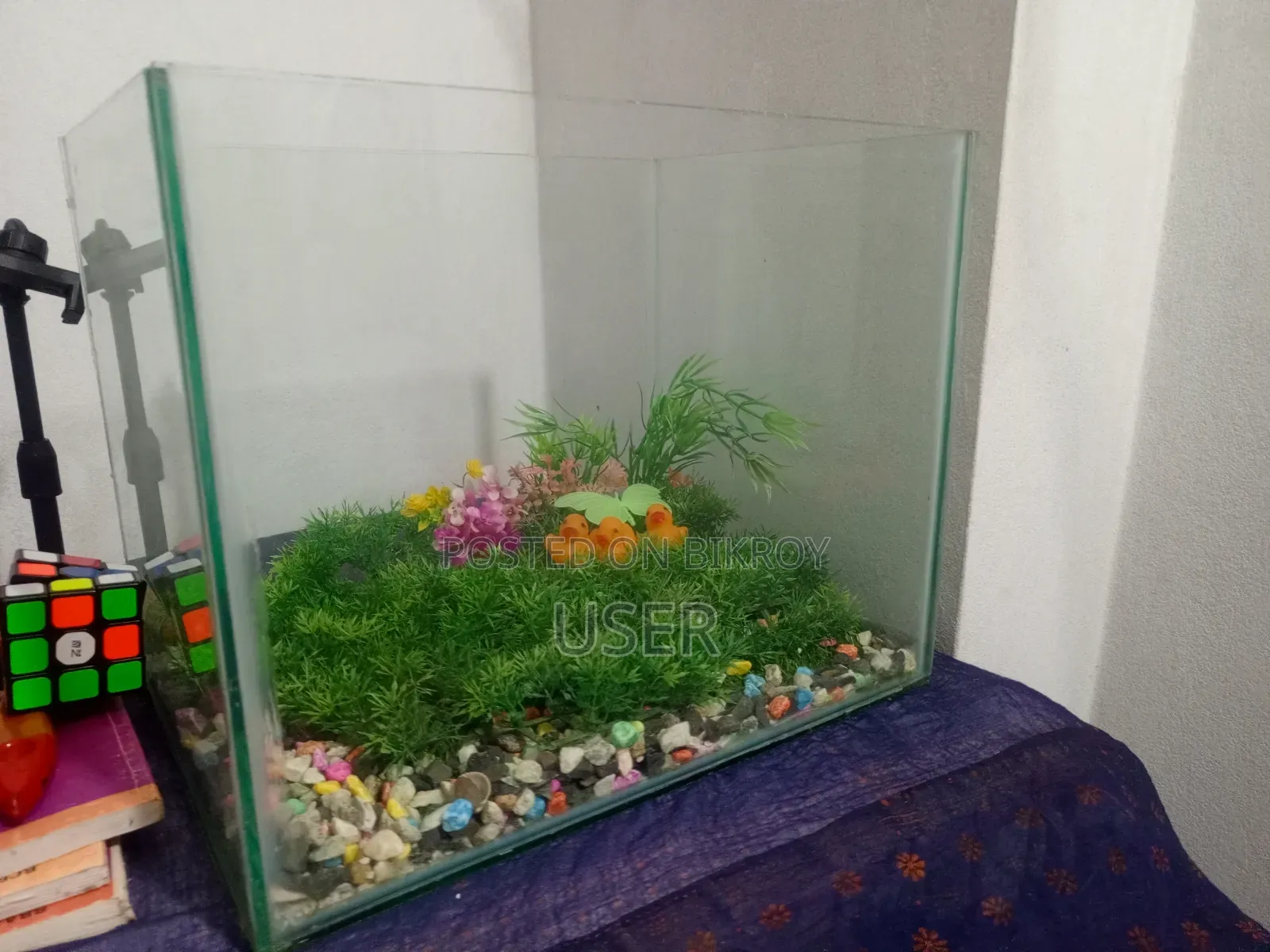 Two Large Aquariums for Sale