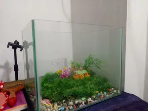Two Large Aquariums for Sale