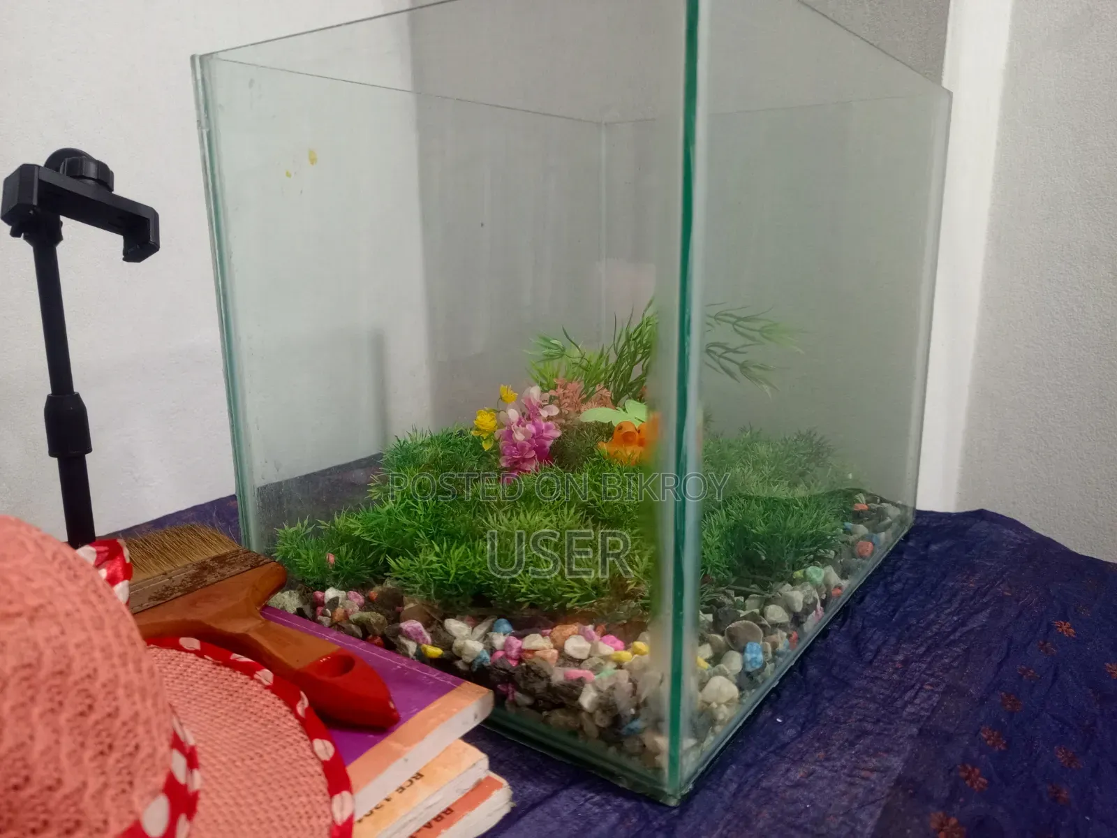 Two Large Aquariums for Sale