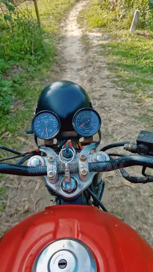 Pegasus Zeus 150 2014 Red