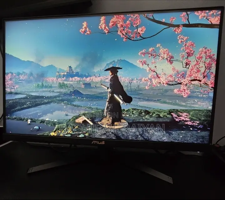 ASUS VG249Q1A 165Hz Monitor