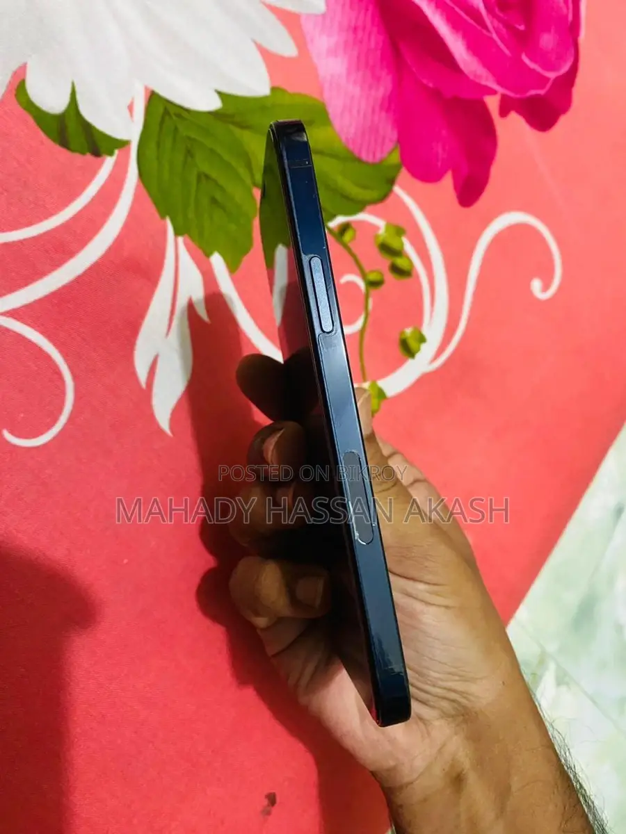 Apple iPhone 12 (Used)