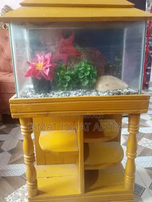 Fish Aquarium