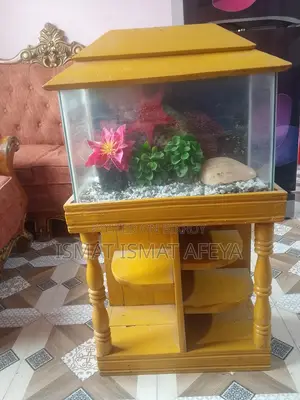 Fish Aquarium
