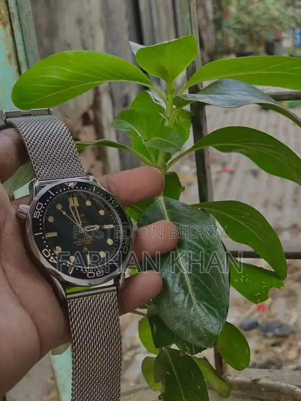 Omega Watch